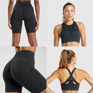 Gym shark Adapt Animal Black set